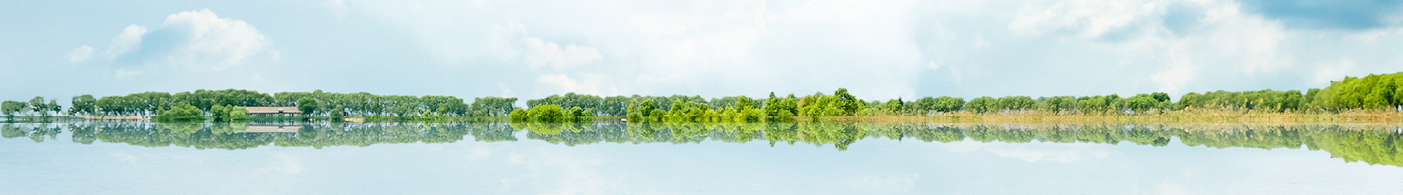 联系美狮贵宾会官网